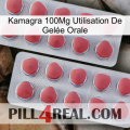 Kamagra 100Mg Utilisation De Gelée Orale 19